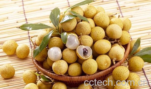 果蔬百科常吃桂圆的四大好处-0