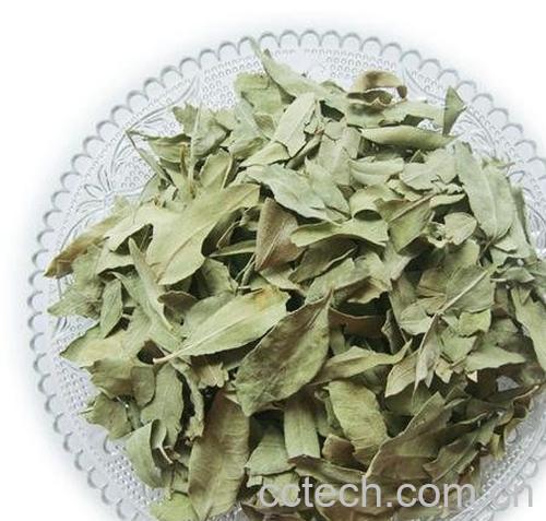 果蔬百科罗布麻降压茶-0