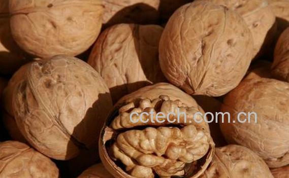 果蔬百科常吃核桃的好处-0