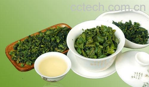 果蔬百科铁观音-0