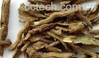 果蔬百科地骨皮茶-0