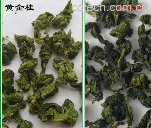 果蔬百科哪些茶属于青茶 青茶又称乌龙茶，为半发酵茶。青茶包括下面这些： 闽北乌龙(武夷岩茶，水仙，大红袍，肉桂等) 闽南乌龙(铁观音，奇兰，水仙，黄金桂等) 广东乌龙(凤凰单枞，凤凰水仙，岭头单枞等) 台湾乌龙(冻顶乌龙，包种，乌龙等) 青茶和绿茶的区别 青茶属于半发酵茶，绿茶是不发酵茶，因此，青茶与绿茶是两种不同的茶类。我们通常所喝的乌龙茶、铁观音、武夷岩茶和大红袍都属于青茶，这些茶有时又被笼统地称为乌龙茶。 绿茶：制作时不经过任何发酵过程、采摘后直接杀菁、揉捻、干燥而成的茶。滋味清新鲜醇，清爽宜人。因工法不同，又可分为以锅炒而成的炒菁绿茶，比方龙井、碧螺春，以及以高温蒸汽蒸煮的蒸菁绿茶，比方日本的煎茶、玉露，前者香气浓、后者有新鲜新绿感。 青茶：又称乌龙茶。发酵度约为20～60%，是介于绿茶与红茶之间的半发酵茶类。滋味变化多端，兼容绿茶的清绿新爽与红茶的醇厚甘美，常带有如花香、果香、谷香等多元丰富的香气，是台湾最知名的茶类。知名茶款除乌龙外还有包种、铁观音、水仙、武夷茶。-0