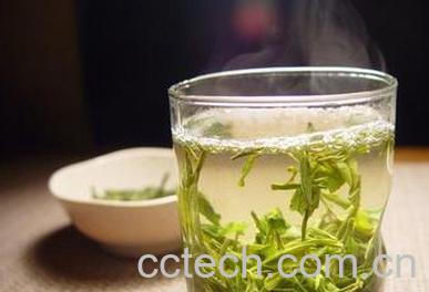 果蔬百科青茶-0