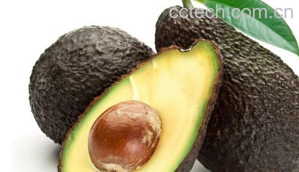 果蔬百科牛油果的营养价值与食用功效-0