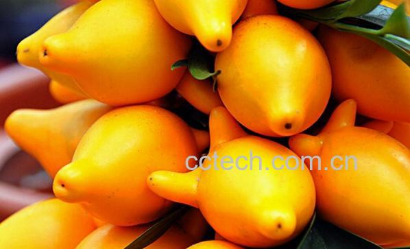 果蔬百科黄金果的功效与作用-0