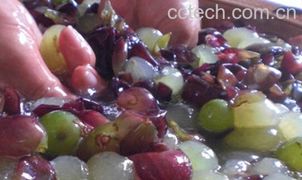 果蔬百科自制葡萄酒的方法-0