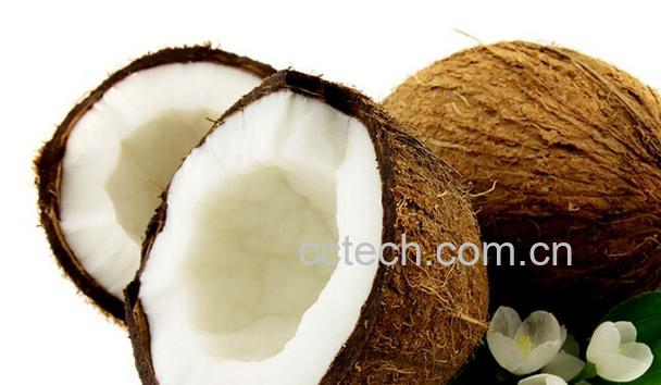 果蔬百科椰子的营养价值与功效-0