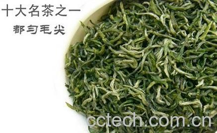 果蔬百科都匀毛尖茶-0