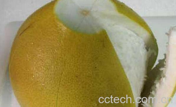 果蔬百科柚子皮的药用价值-0