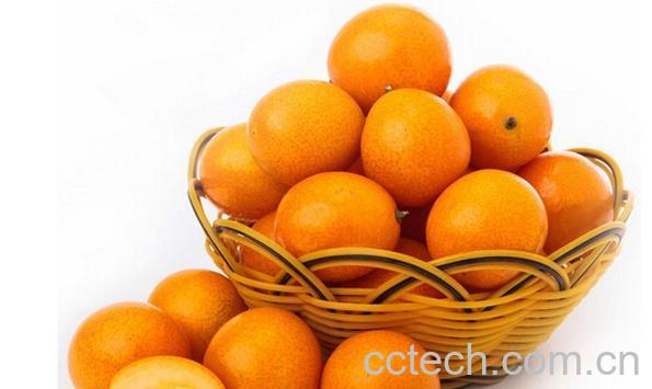 果蔬百科金桔的功效-0