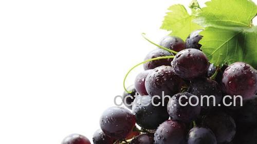 果蔬百科多吃葡萄有什么好处-0