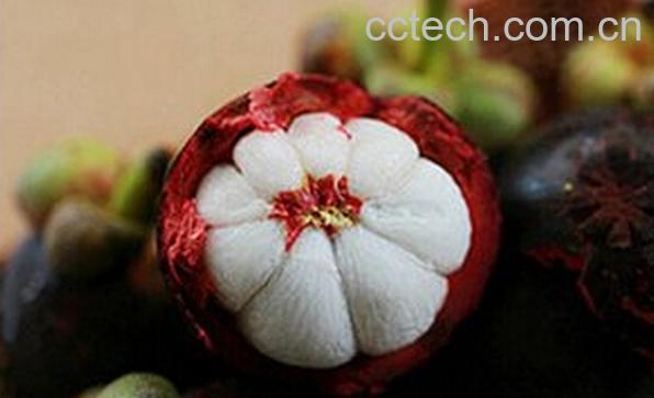 果蔬百科山竹怎么吃-0