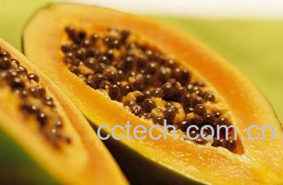 果蔬百科木瓜的营养价值及功效-0