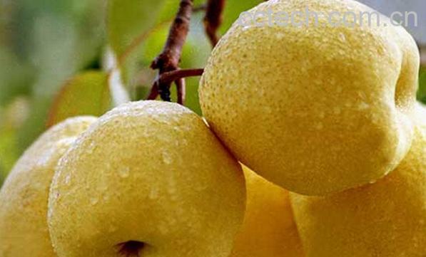 果蔬百科夏天吃什么蔬菜水果能去火-0