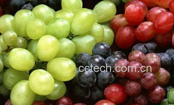 果蔬百科吃提子去皮吗 提子皮能不能吃-0