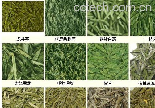 果蔬百科茶叶-0