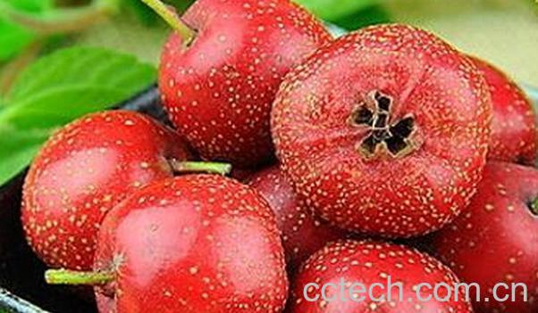 果蔬百科吃山楂的好处-0