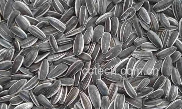 果蔬百科葵花籽的功效与作用-0