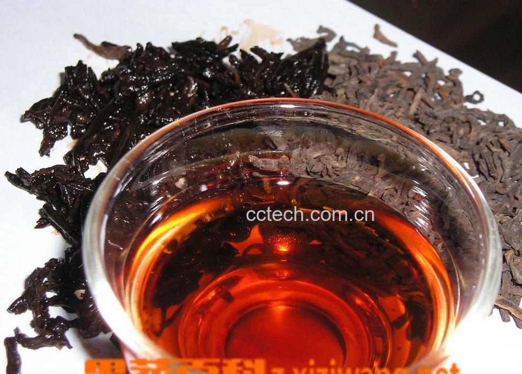 果蔬百科普洱茶熟茶能减肥吗-0