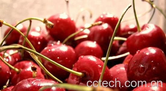 果蔬百科樱桃的好处和坏处-0