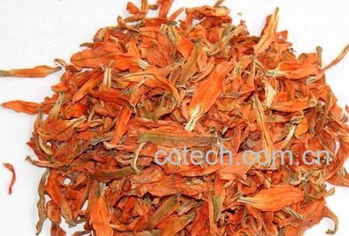 果蔬百科百合花的功效与作用-0