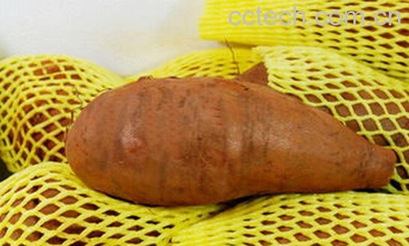 果蔬百科雪莲果的副作用与食用禁忌-0