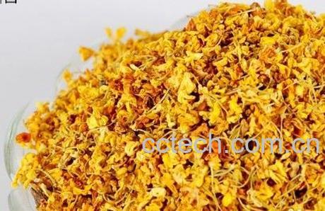 果蔬百科桂花茶的功效-0