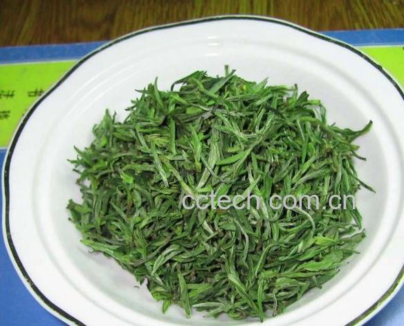 果蔬百科毛尖是什么茶-0