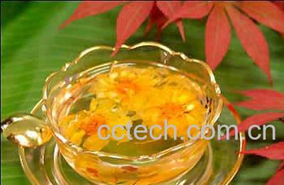 果蔬百科喝枸杞茶的好处-0