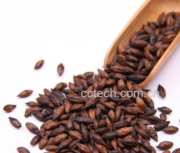 果蔬百科大麦茶的好处-0