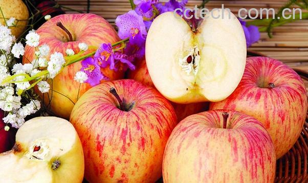 果蔬百科孕妇吃苹果的好处-0