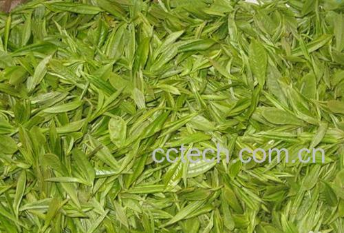 果蔬百科常喝绿茶的好处-0