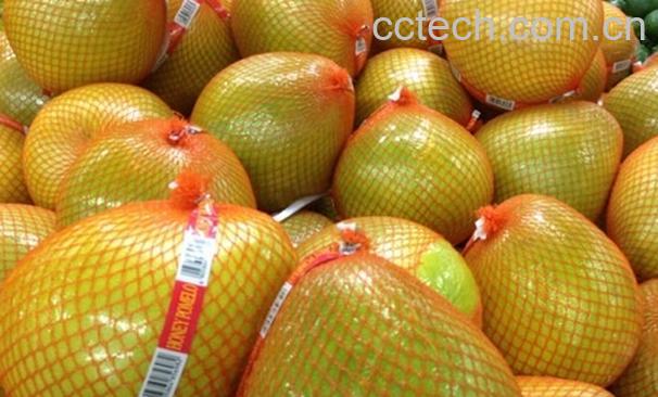 果蔬百科吃柚子好吗-0