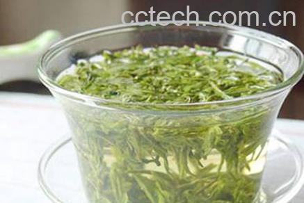 果蔬百科都匀毛尖属于什么茶-0