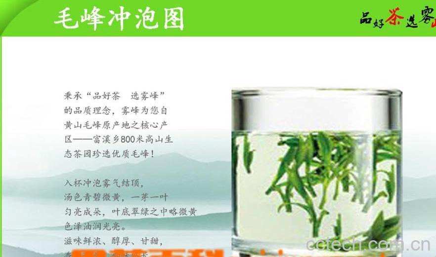 果蔬百科黄山毛峰冲泡-0