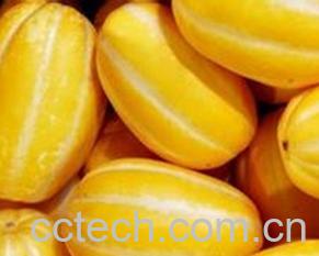 果蔬百科香瓜属于凉性水果吗-0