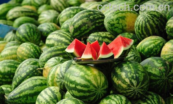 果蔬百科切开的西瓜怎么保存才新鲜-0