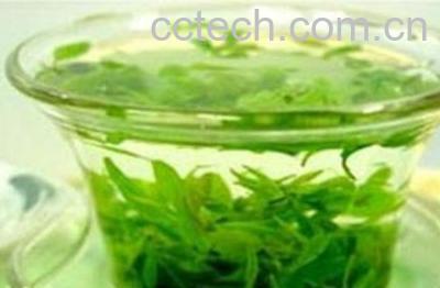 果蔬百科茶叶的功效与作用-0