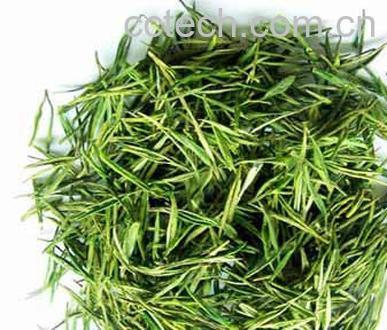 果蔬百科白茶的种类-0