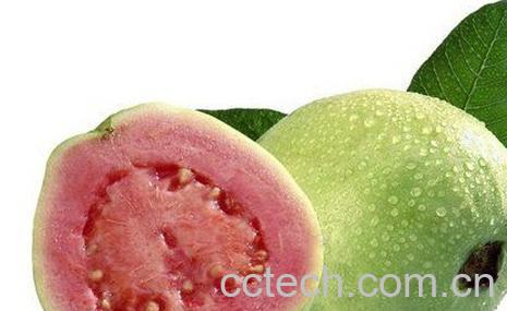 果蔬百科番石榴能降血糖吗 番石榴的好处-0