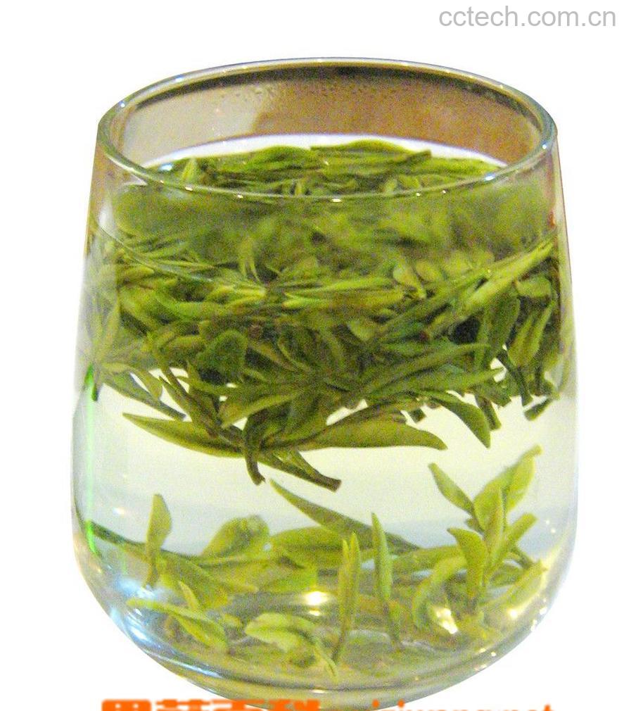 果蔬百科白茶是什么茶-0