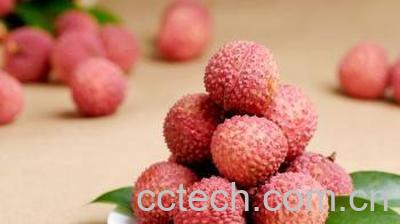 果蔬百科吃荔枝上火吗 吃荔枝不上火的方法-0