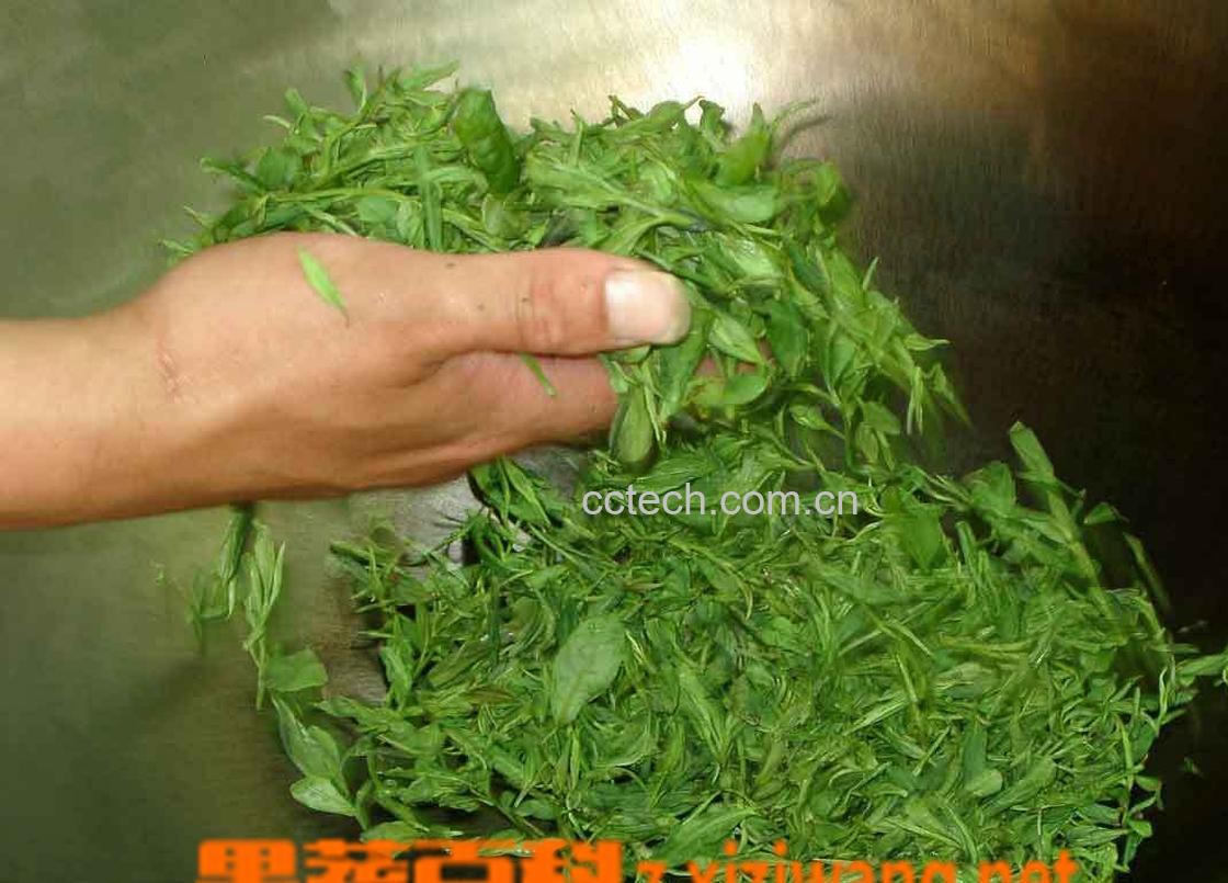 果蔬百科龙井茶的来历-0