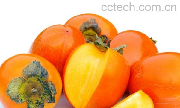 果蔬百科柿子的功效与作用-0