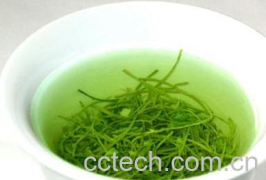 果蔬百科绿茶冲泡时间-0