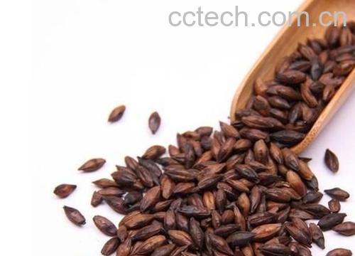 果蔬百科大麦茶的功效-0