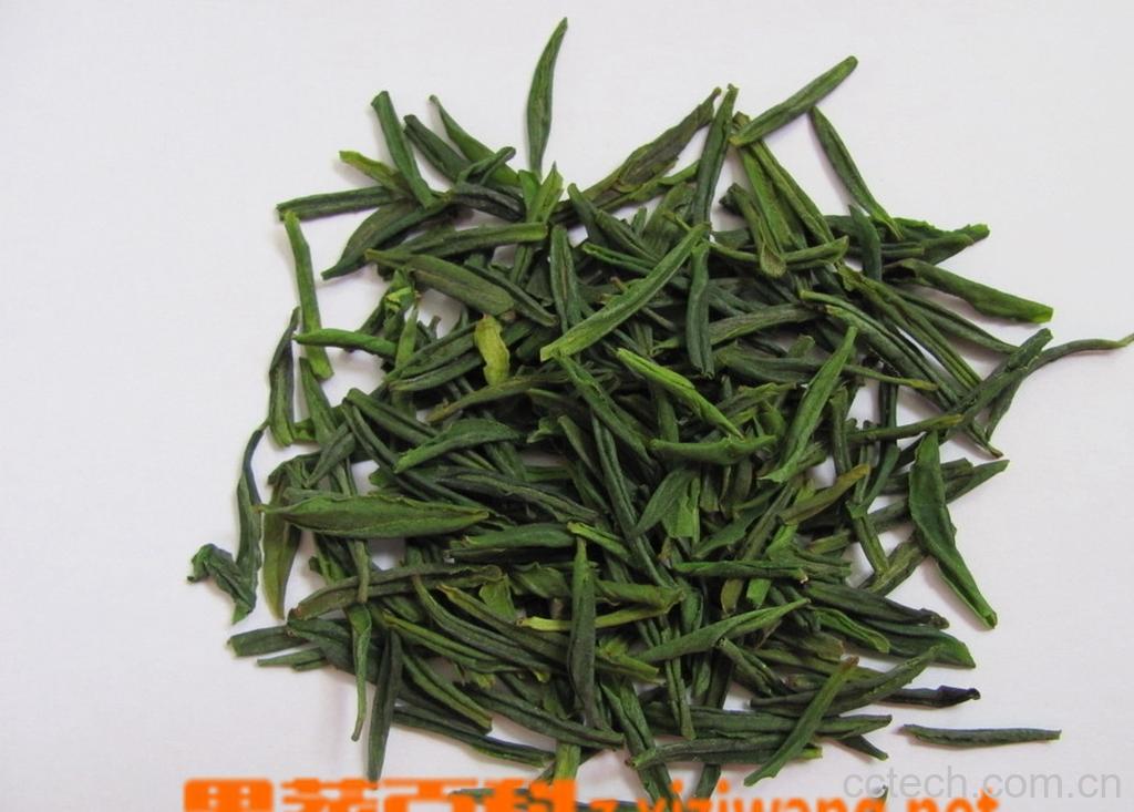 果蔬百科六安瓜片属于什么茶-0