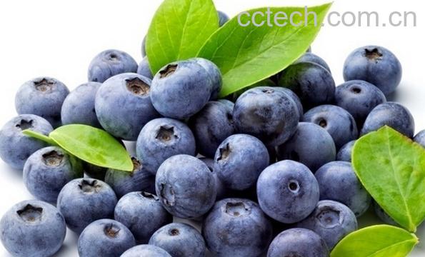 果蔬百科吃什么水果对眼睛好-0