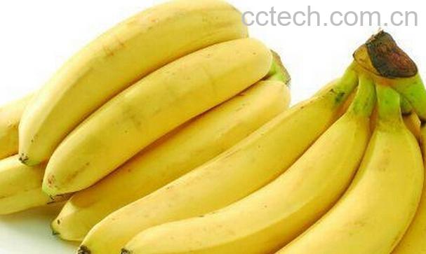 果蔬百科香蕉不能和什么一起吃-0