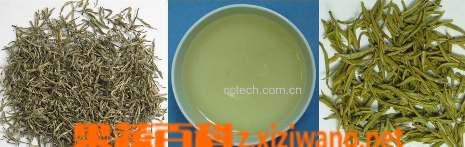 果蔬百科沩山毛尖-0